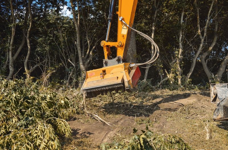 Brush and Tree Removal Process