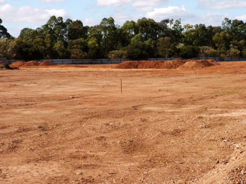 Agricultural Land Clearing