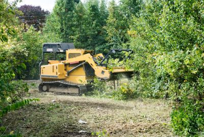 Land Clearing Planning