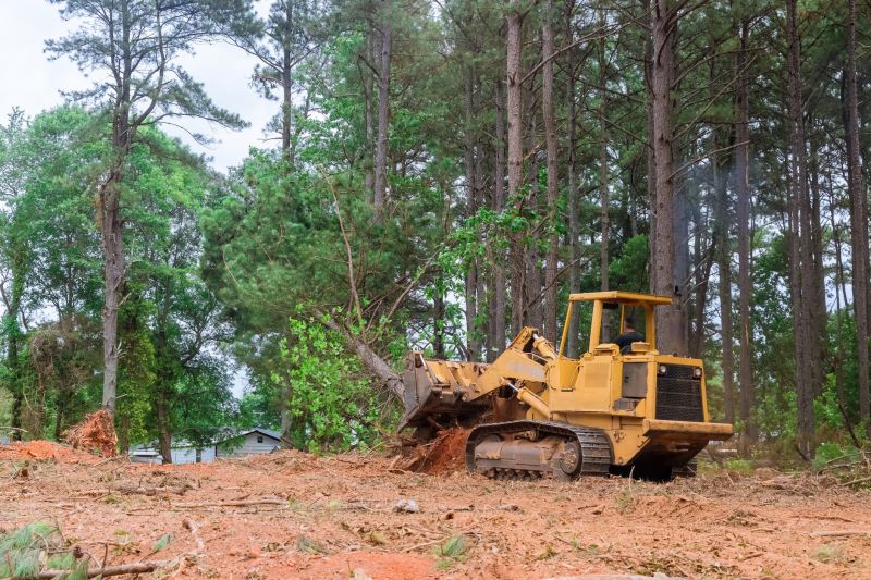 Municipal Land Clearing Departments