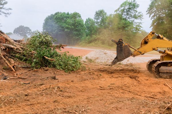 Ground Clearing in Auburn