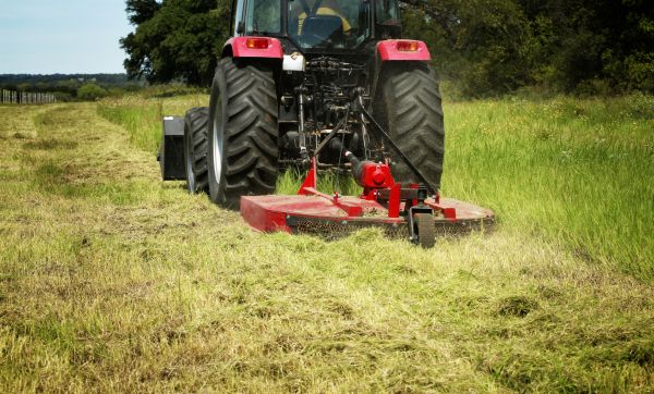 Brush Clearing Service in Auburn